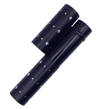 SL - Wysuwany pędzel kosmetyczny 12 cm